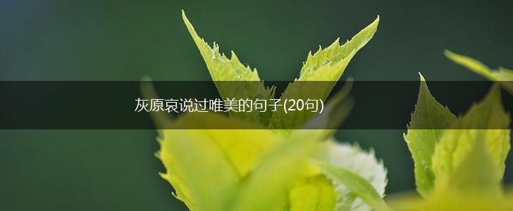 灰原哀说过唯美的句子(20句),第1张