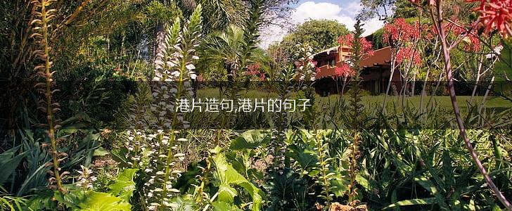 港片造句,港片的句子,第1张