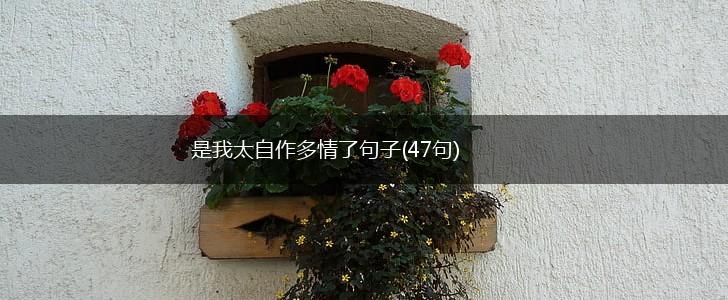 是我太自作多情了句子(47句),第1张