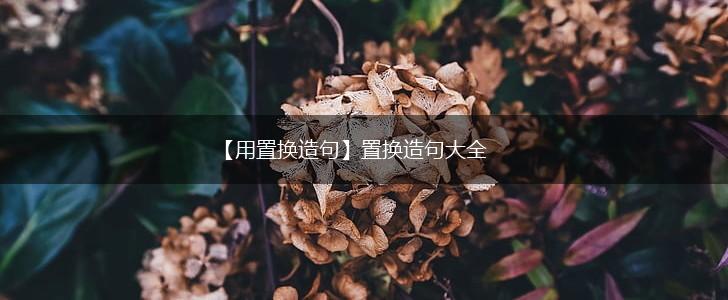 【用置换造句】置换造句大全,第1张