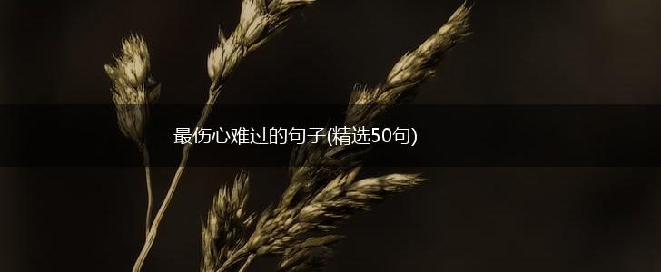最伤心难过的句子(精选50句),第1张