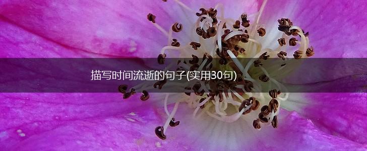 描写时间流逝的句子(实用30句),第1张