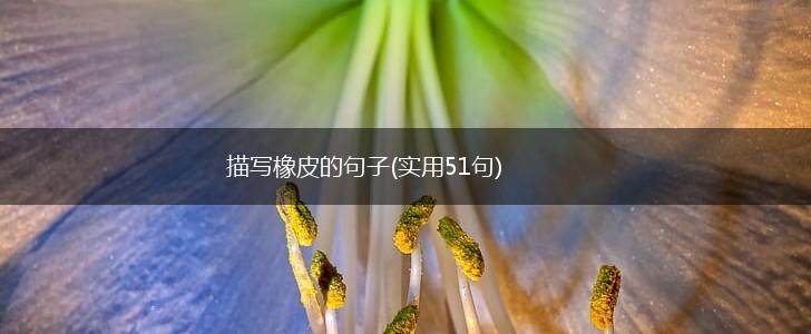 描写橡皮的句子(实用51句),第1张