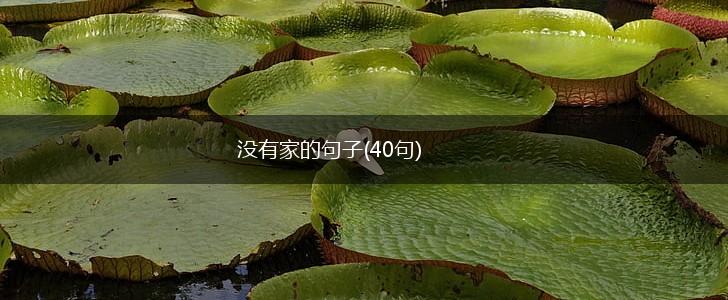 没有家的句子(40句),第1张