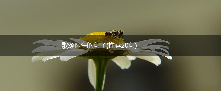 歌颂医生的句子(推荐20句),第1张
