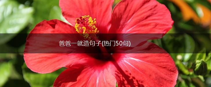爸爸一就造句子(热门50句),第1张