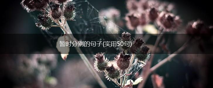 暂时分别的句子(实用50句),第1张