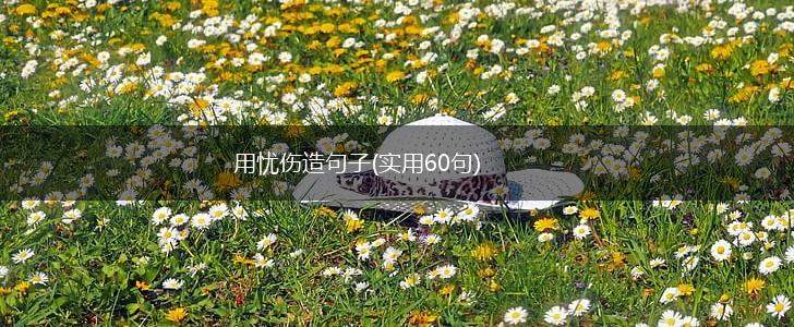 用忧伤造句子(实用60句),第1张