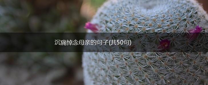 沉痛悼念母亲的句子(共50句),第1张
