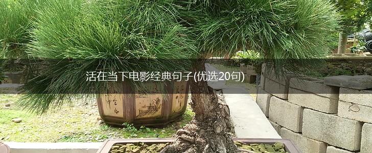 活在当下电影经典句子(优选20句),第1张