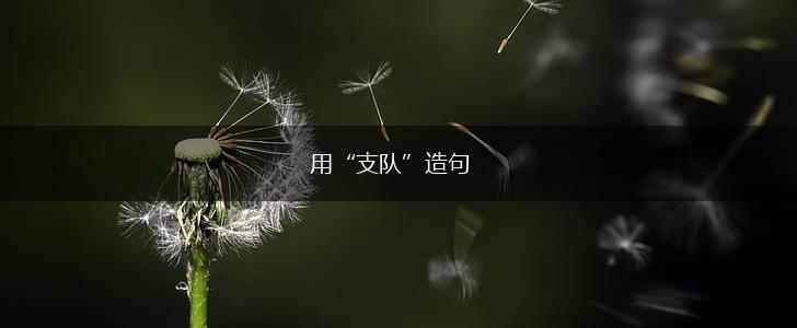 用“支队”造句,第1张