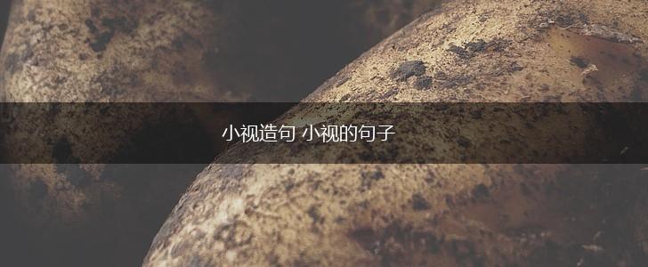 小视造句 小视的句子,第1张