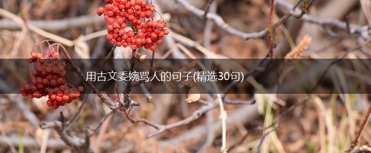 用古文委婉骂人的句子(精选30句),第1张
