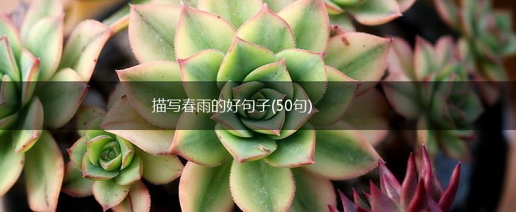 描写春雨的好句子(50句),第1张