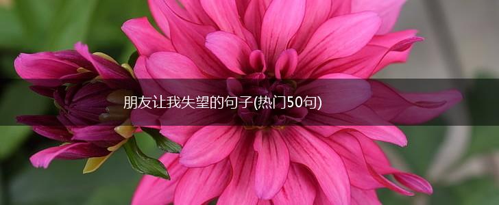 朋友让我失望的句子(热门50句),第1张