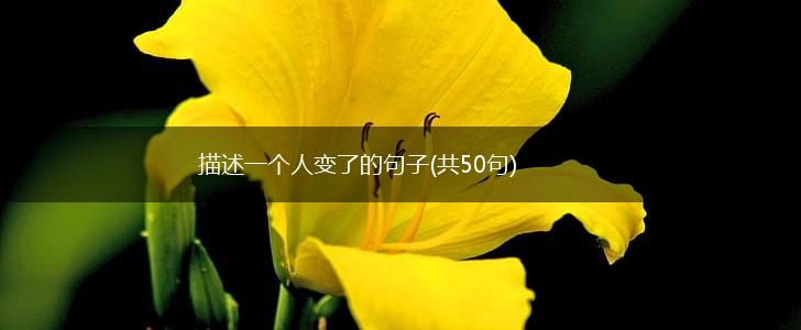 描述一个人变了的句子(共50句),第1张