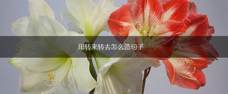 用转来转去怎么造句子,第1张