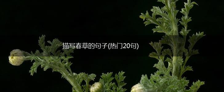 描写春草的句子(热门20句),第1张
