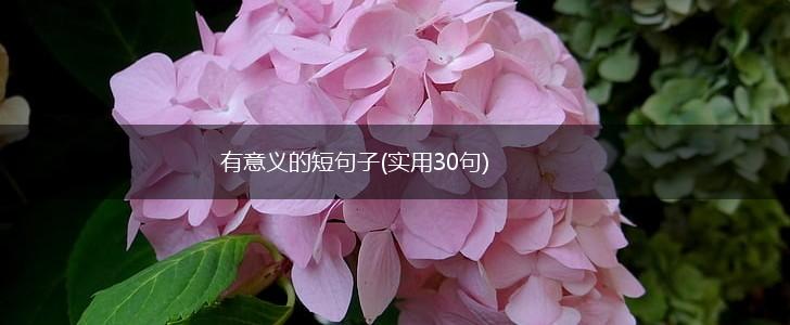 有意义的短句子(实用30句),第1张