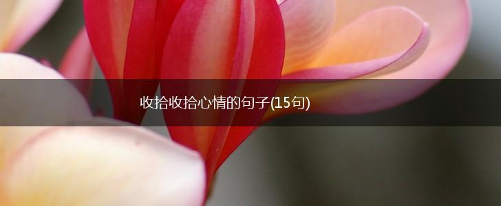 收拾收拾心情的句子(15句),第1张