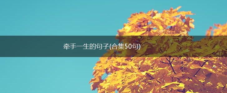 牵手一生的句子(合集50句),第1张