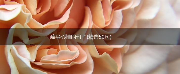 疏导心情的句子(精选50句),第1张