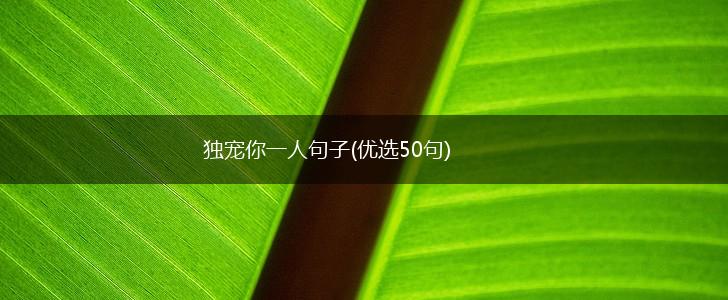 独宠你一人句子(优选50句),第1张