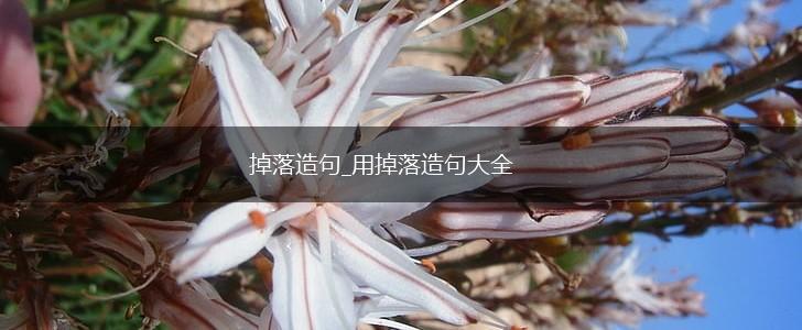 掉落造句_用掉落造句大全,第1张