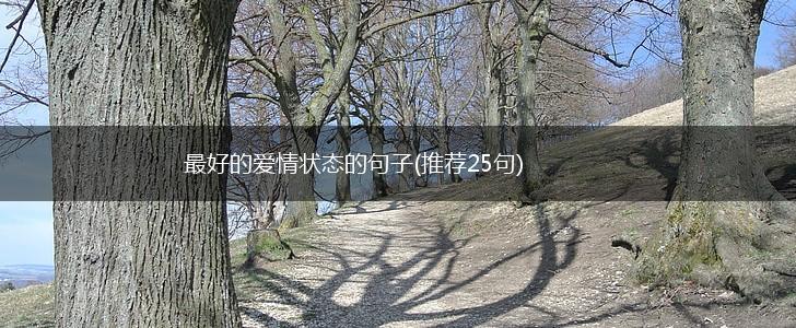 最好的爱情状态的句子(推荐25句),第1张