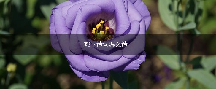 都下造句怎么造,第1张