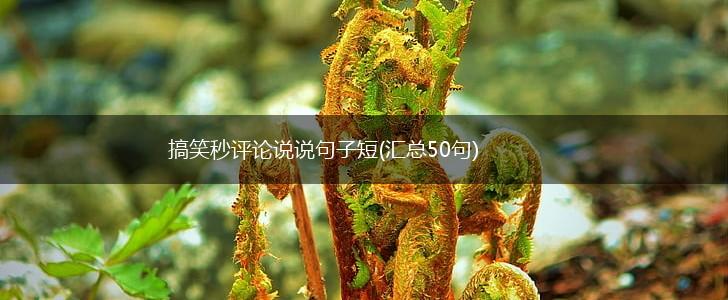 搞笑秒评论说说句子短(汇总50句),第1张