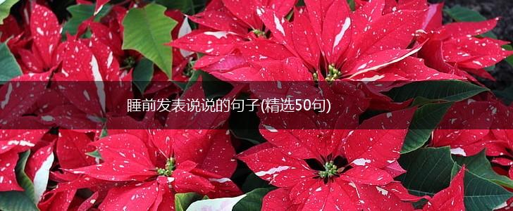 睡前发表说说的句子(精选50句),第1张
