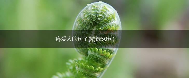 疼爱人的句子(精选50句),第1张
