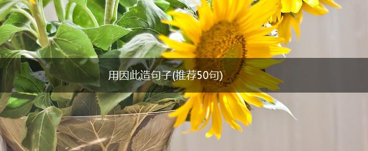 用因此造句子(推荐50句),第1张