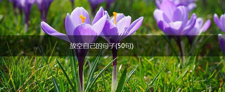 放空自己的句子(50句),第1张