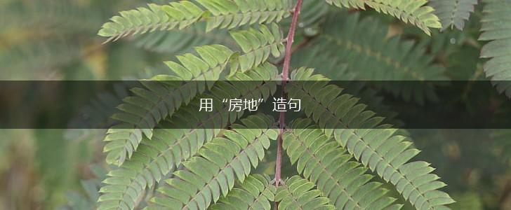用“房地”造句,第1张