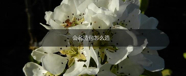 会名造句怎么造,第1张