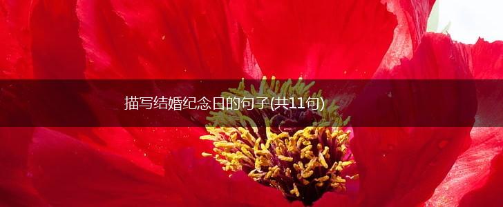 描写结婚纪念日的句子(共11句),第1张