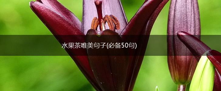 水果茶唯美句子(必备50句),第1张