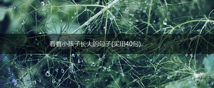 看着小孩子长大的句子(实用40句),第1张
