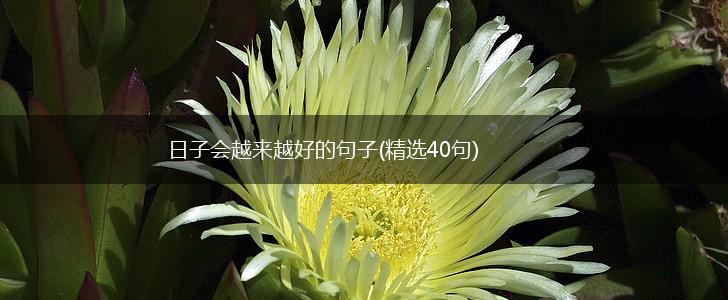 日子会越来越好的句子(精选40句),第1张