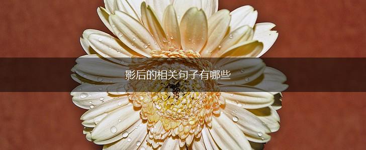 影后的相关句子有哪些,第1张