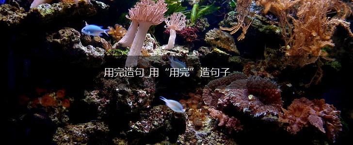 用完造句_用“用完”造句子,第1张