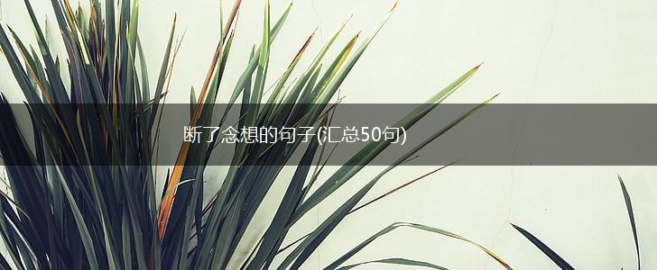 断了念想的句子(汇总50句),第1张