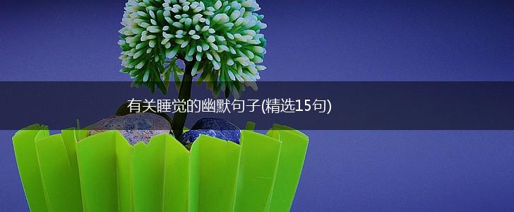 有关睡觉的幽默句子(精选15句),第1张