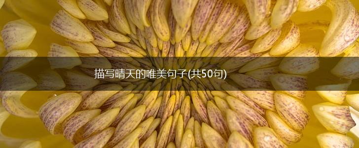 描写晴天的唯美句子(共50句),第1张