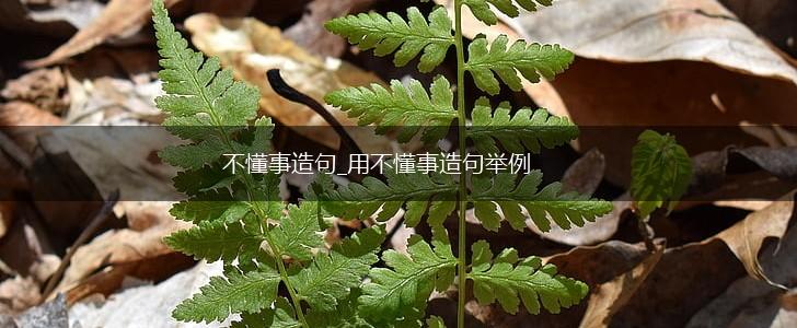 不懂事造句_用不懂事造句举例,第1张