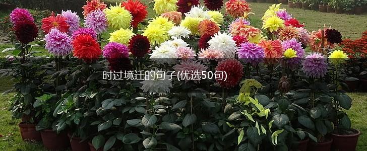 时过境迁的句子(优选50句),第1张
