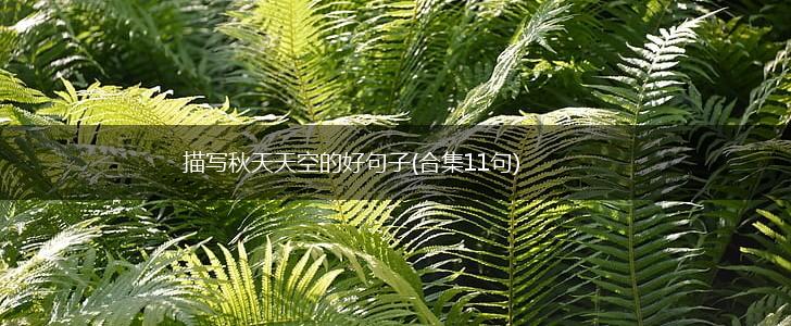 描写秋天天空的好句子(合集11句),第1张