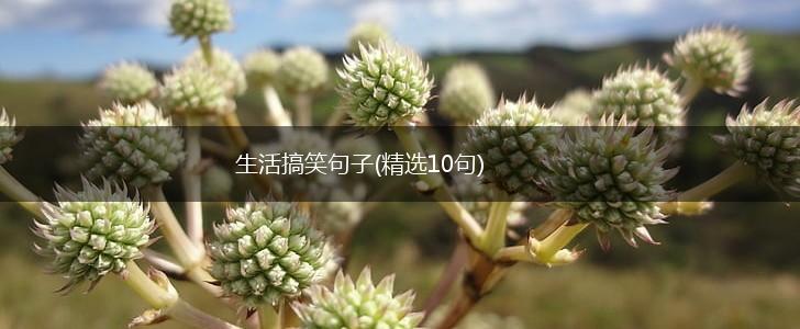 生活搞笑句子(精选10句),第1张